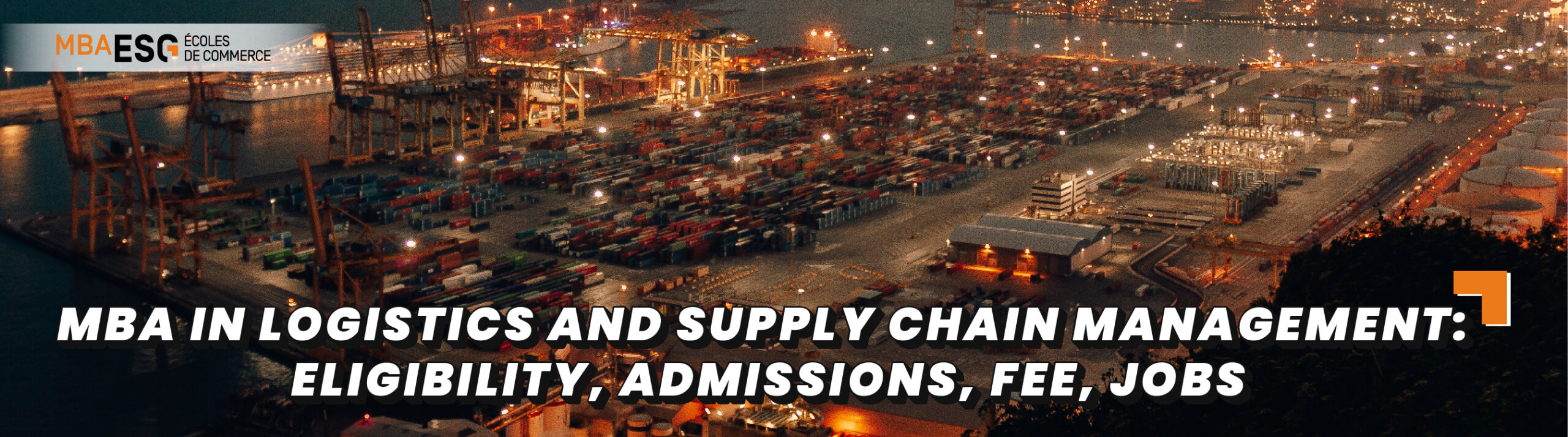 MBA in Logistics and Supply Chain Management