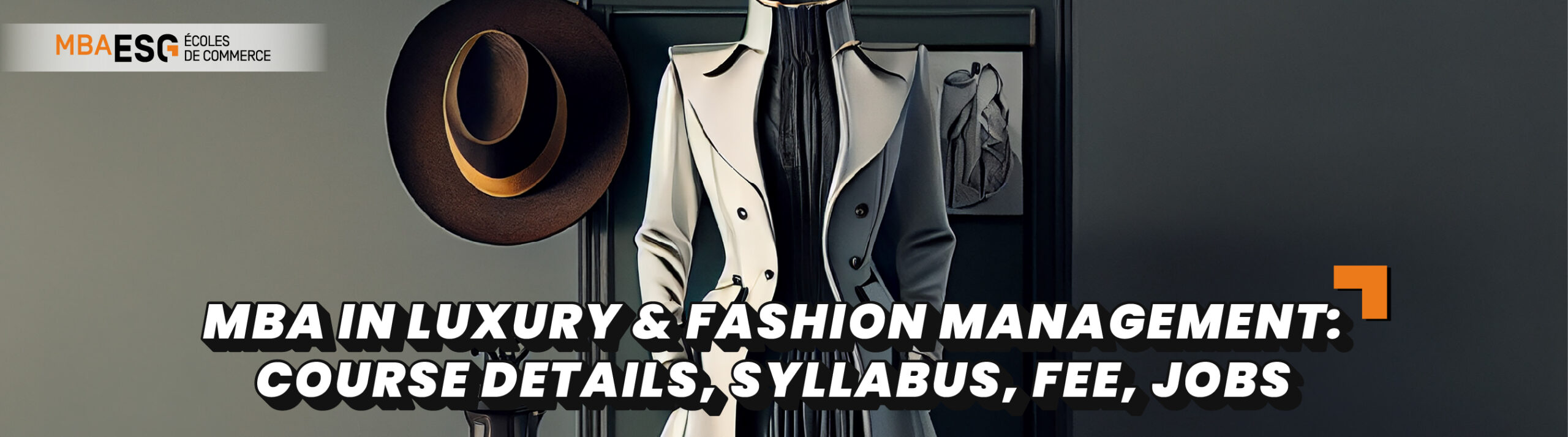 MBA in Luxury & Fashion Management: Course Details, Syllabus, Fee, Jobs