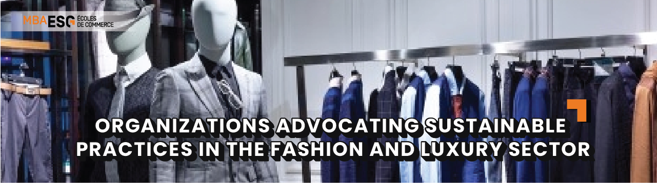 Organizations advocating sustainable practices in the fashion and luxury sector